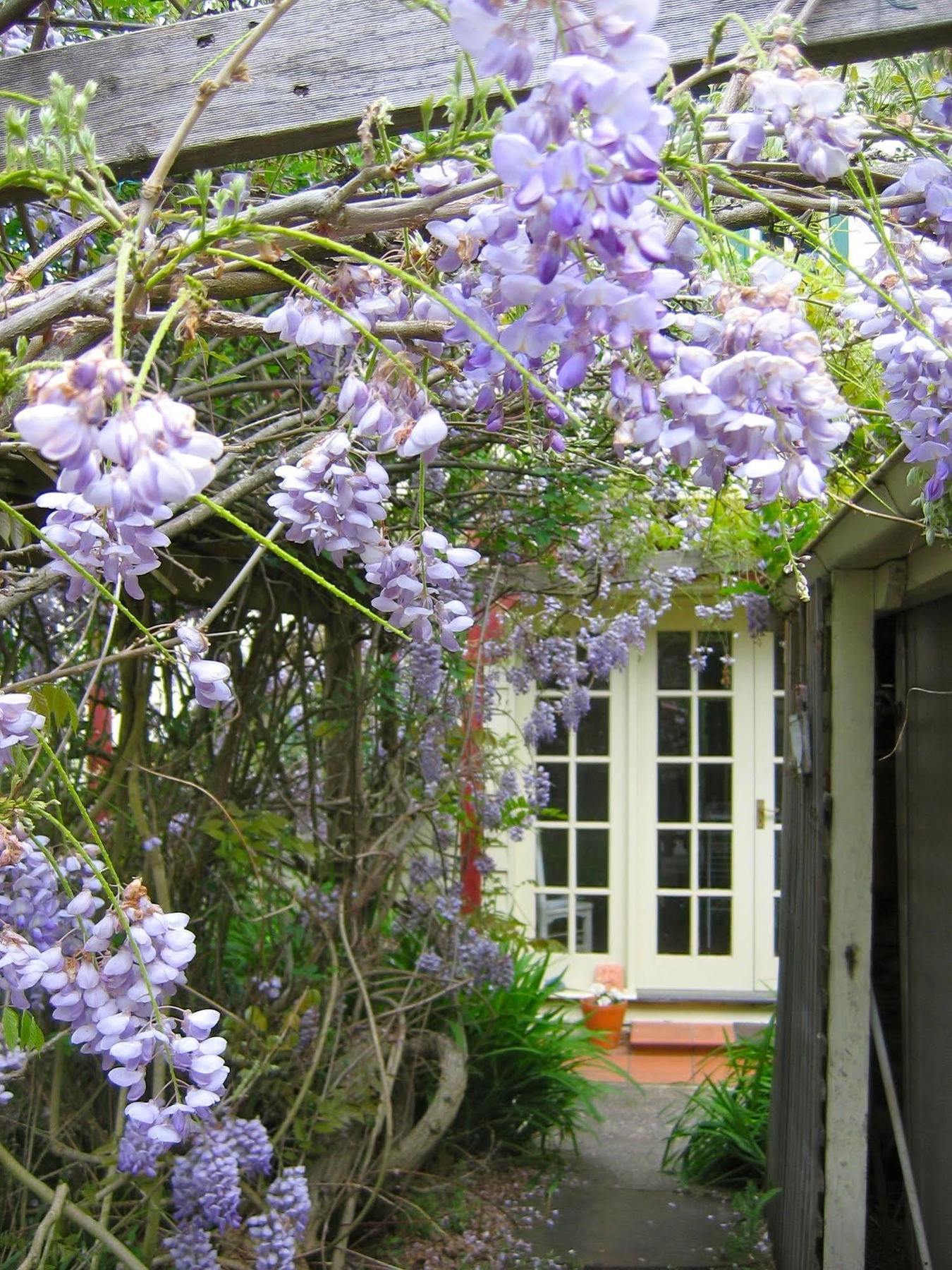 Bed and Breakfast Crabtree House Grove Екстер'єр фото