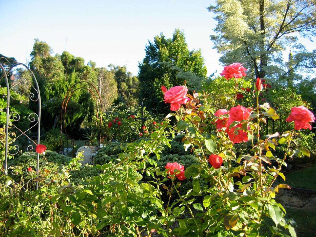 Bed and Breakfast Crabtree House Grove Екстер'єр фото
